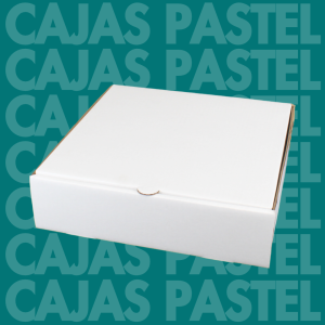 "Caja Kuchen Blanca 285*285*75"