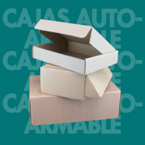 "Caja Auto Armable 440*210*150"