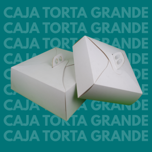 "Caja de torta grande 390*390*140"